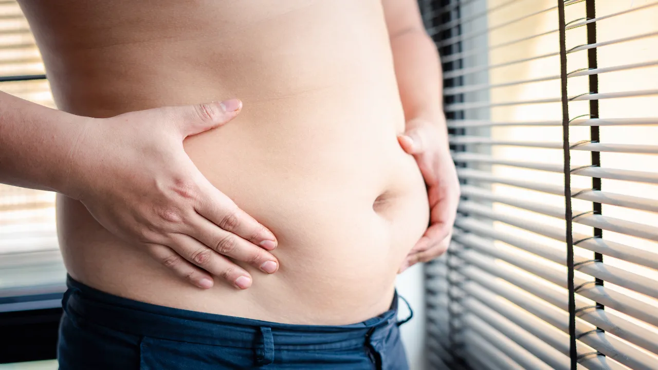 Belly fat 