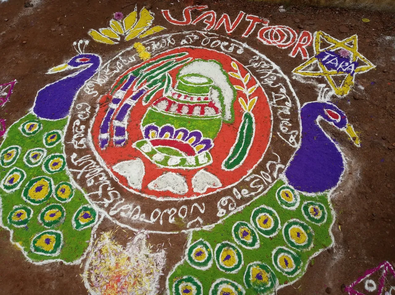 sankranthi peacock design