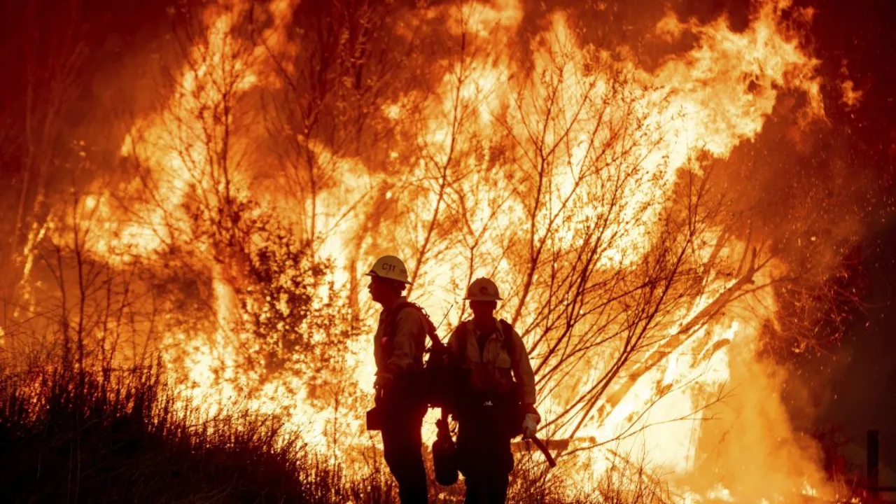 wildfire
