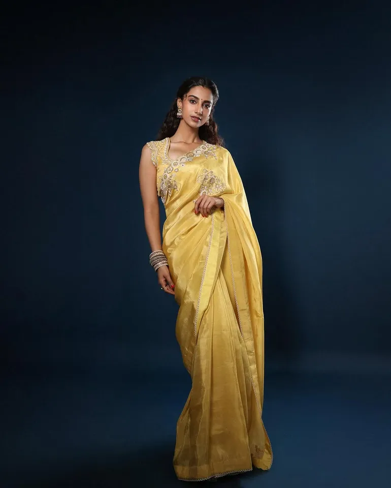 menakshi new images