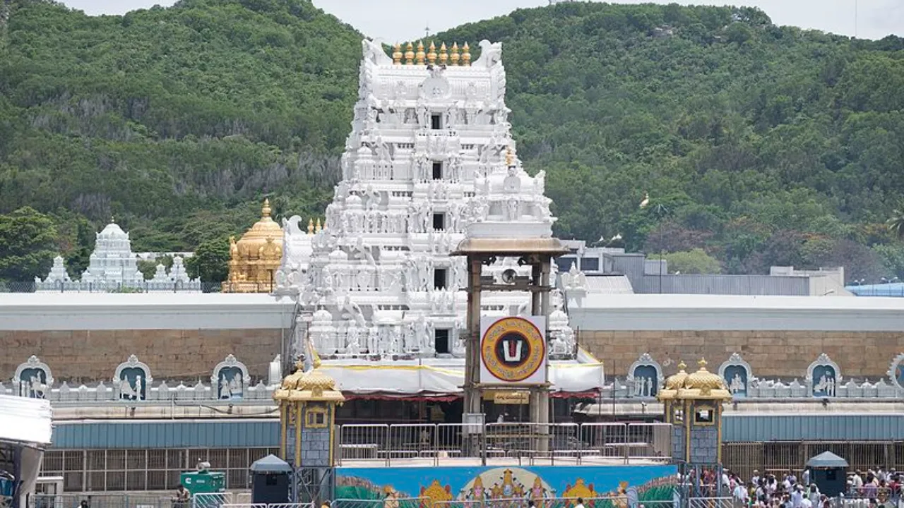 tirumala employee