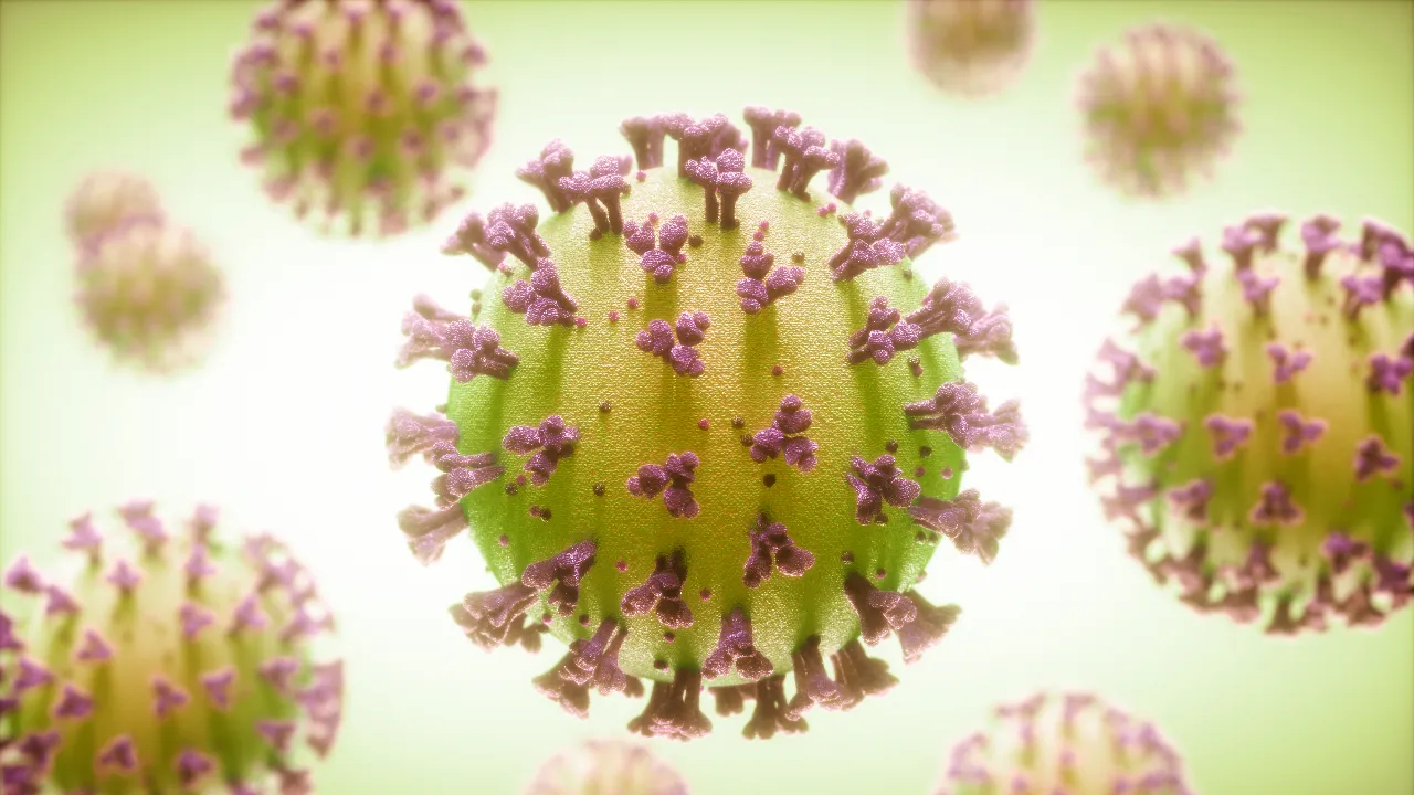 HMPV Virus body