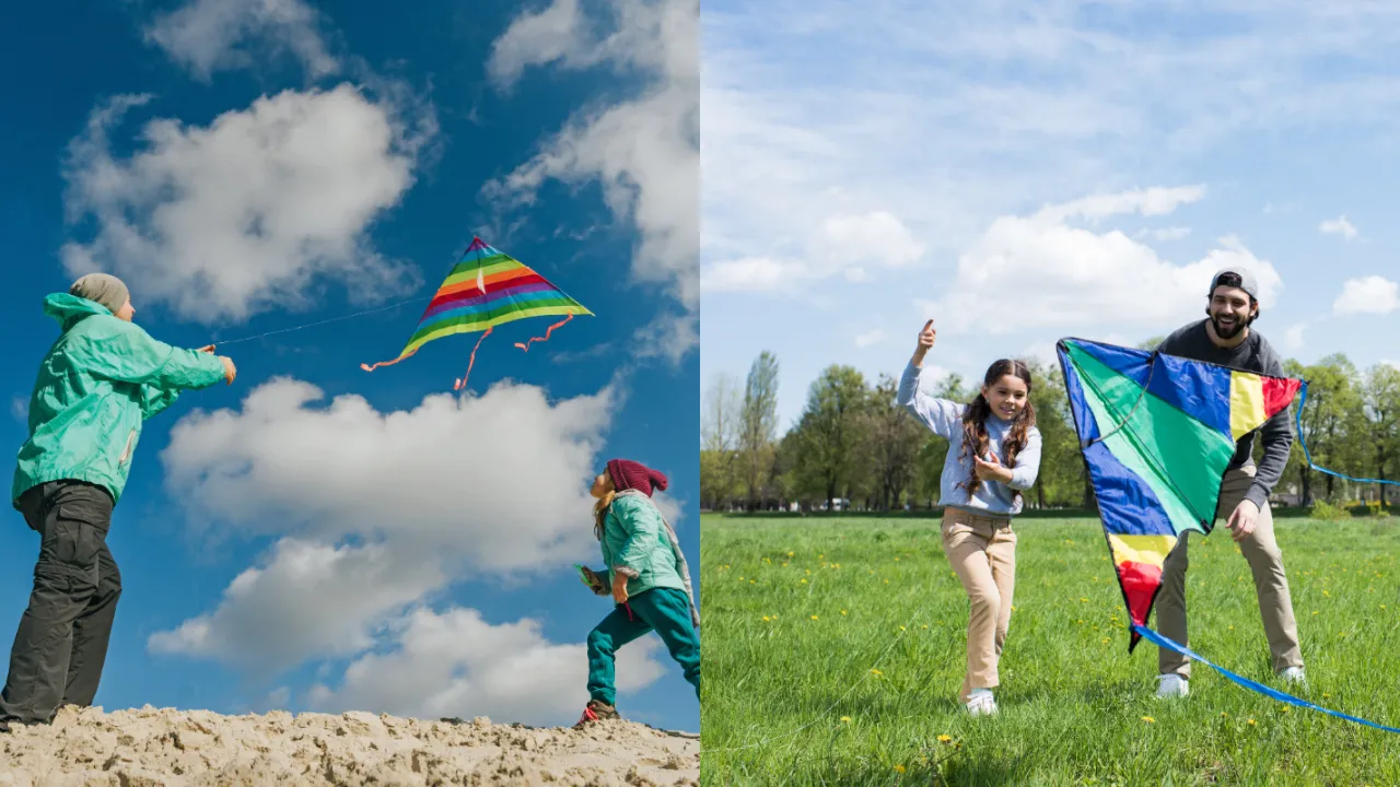 kites 