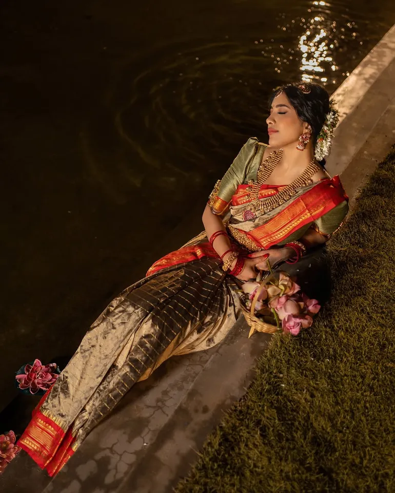 Nabha Natesh traditional  look