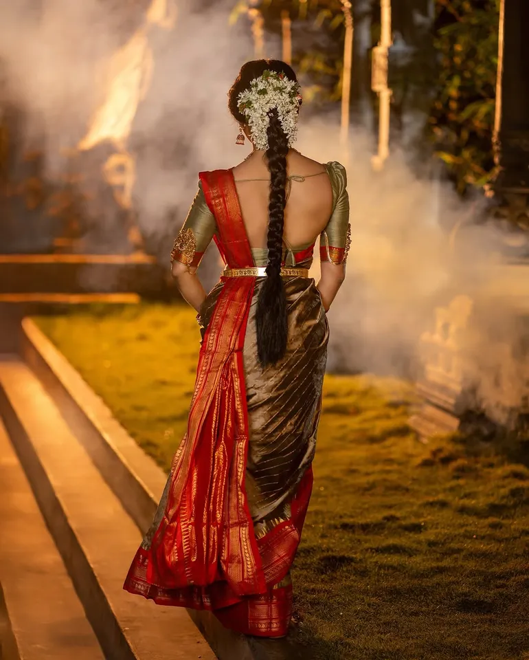 Nabha Natesh traditional  outfit