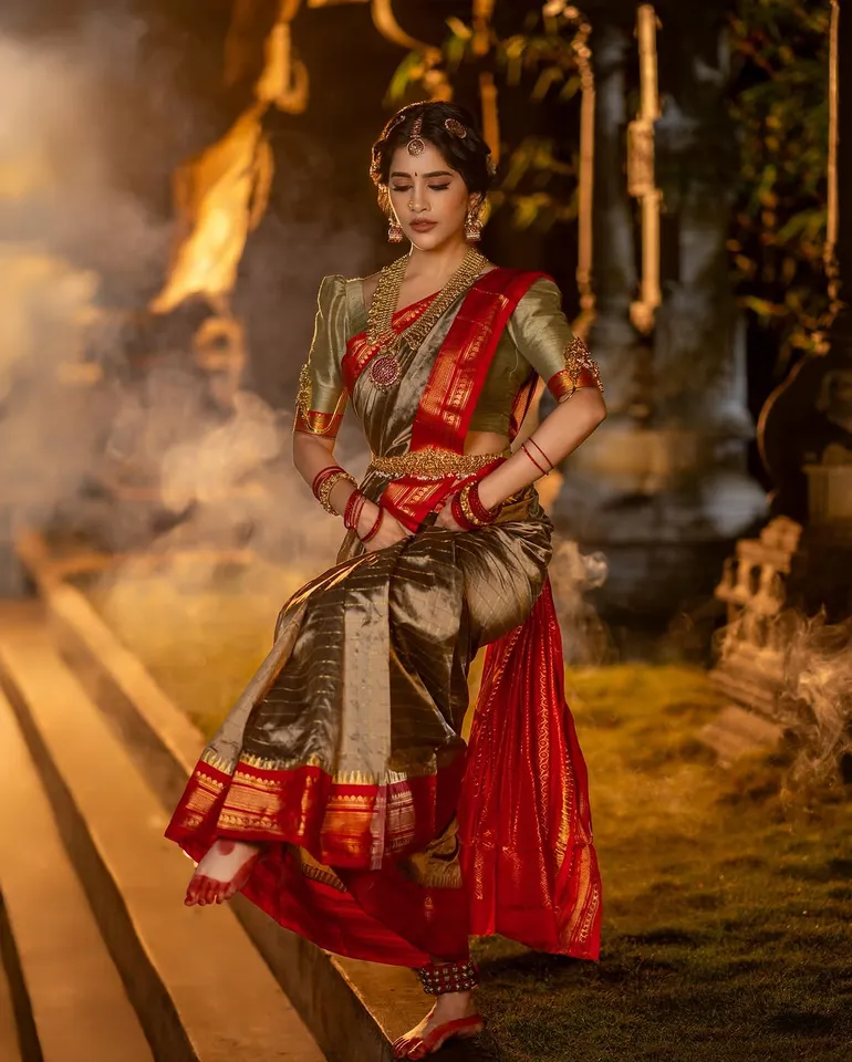 Nabha Natesh traditional  photos