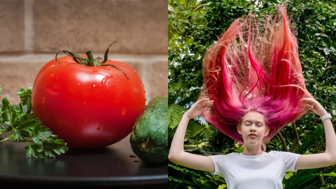 Tomato- hari