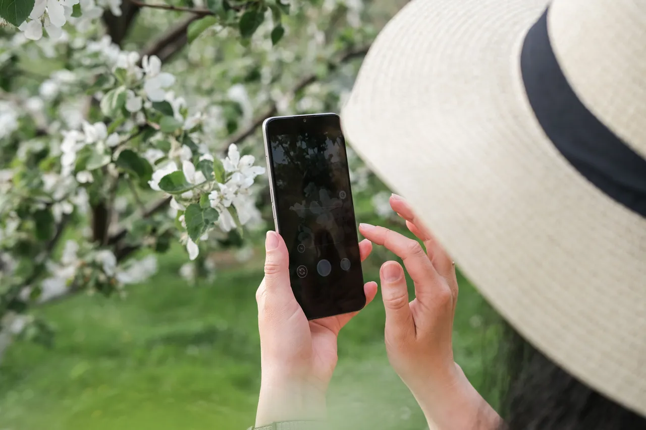 Smartphone8