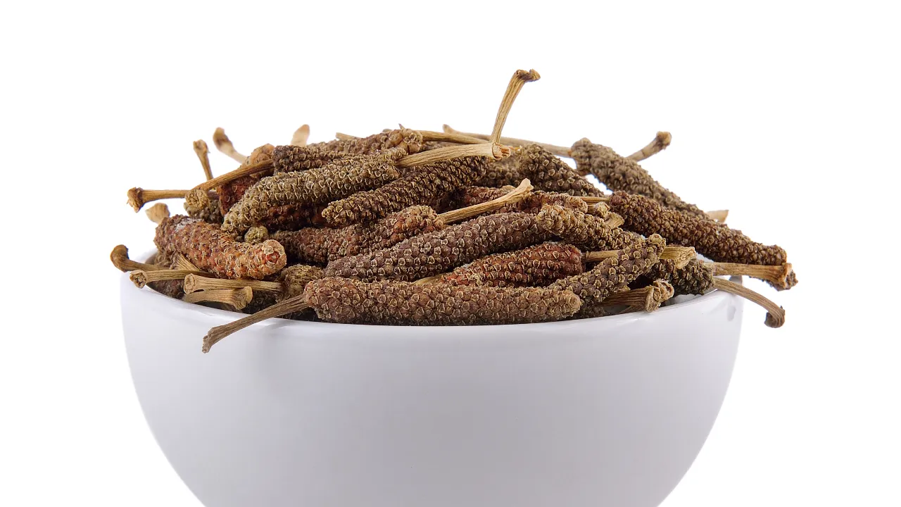 Long pepper 