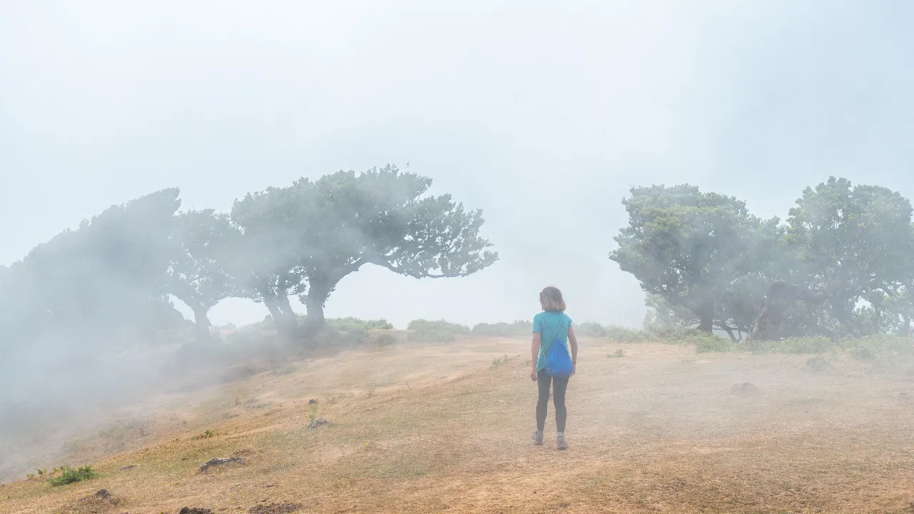 fog