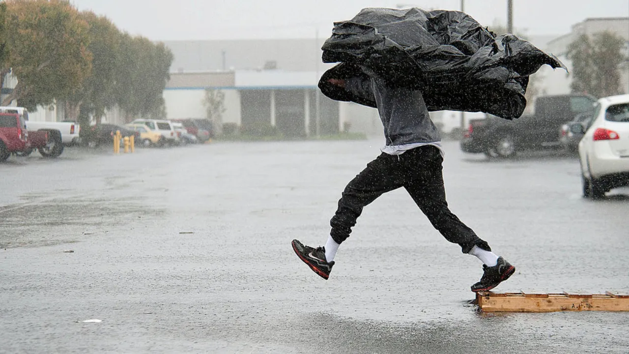 rain in Los Angeles