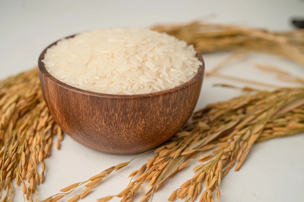 Rice