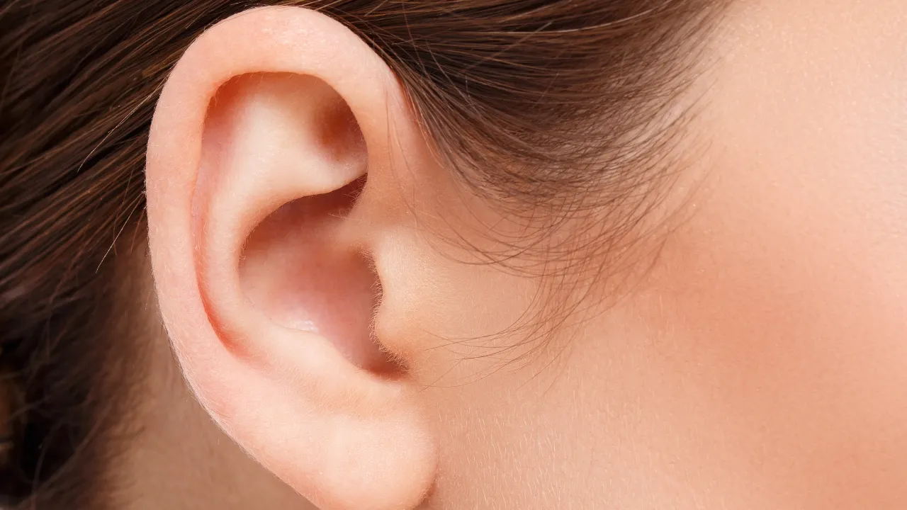ear