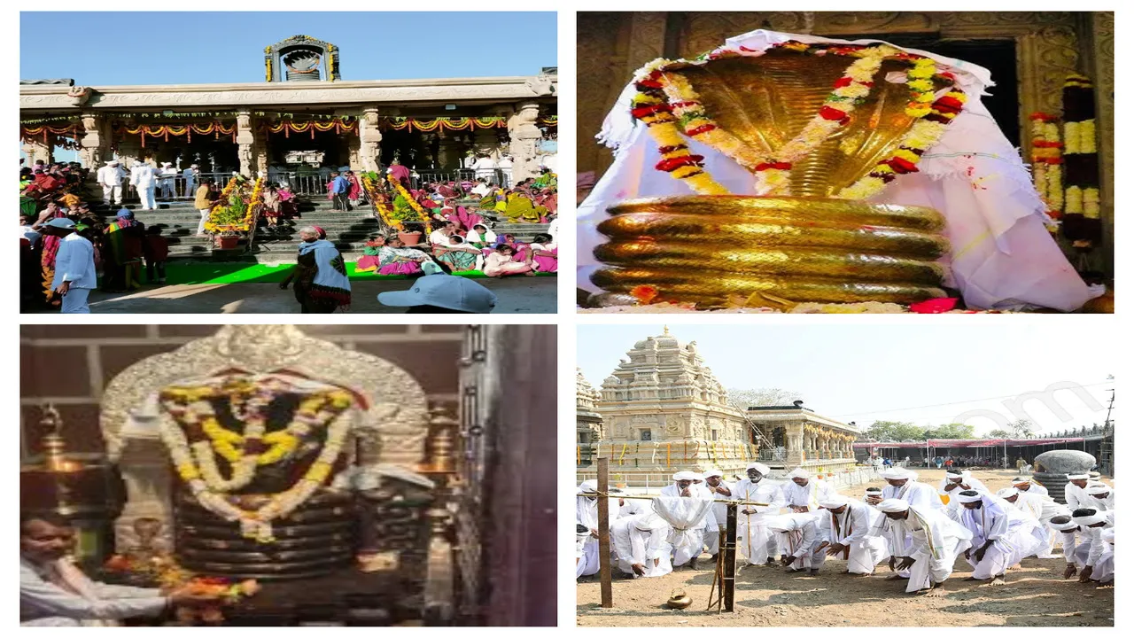 NAGOBA JATARA