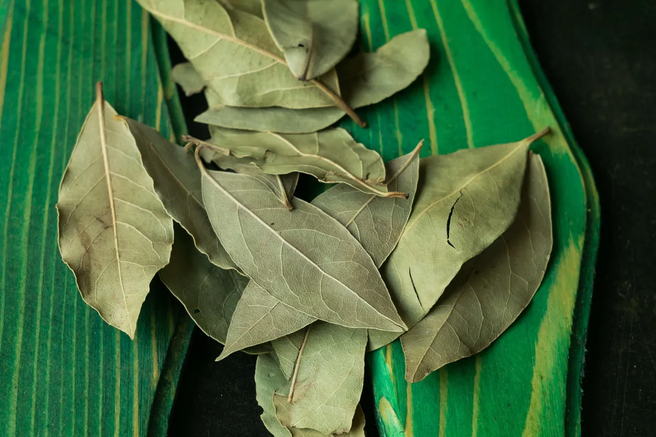 Bay leaf