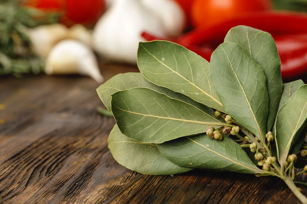 Bay leaf