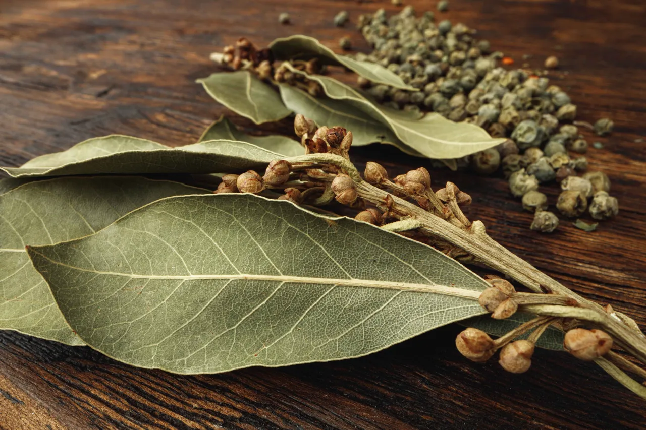 Bay leaf