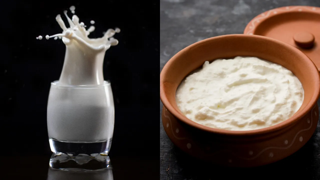 Curd 
