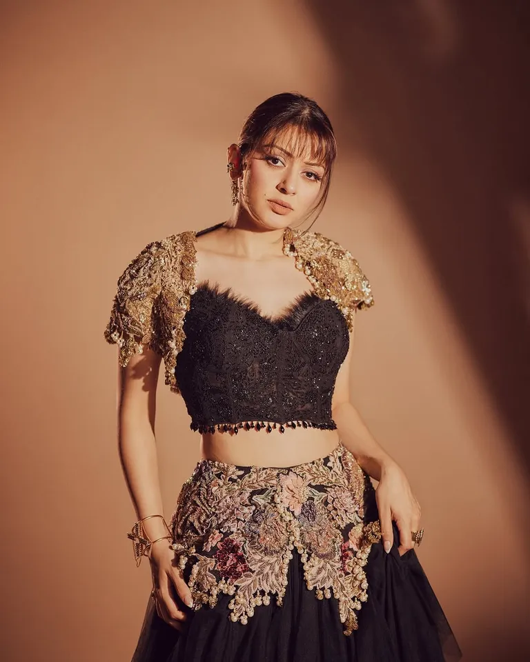 Hansika Motwani latest stunning looks