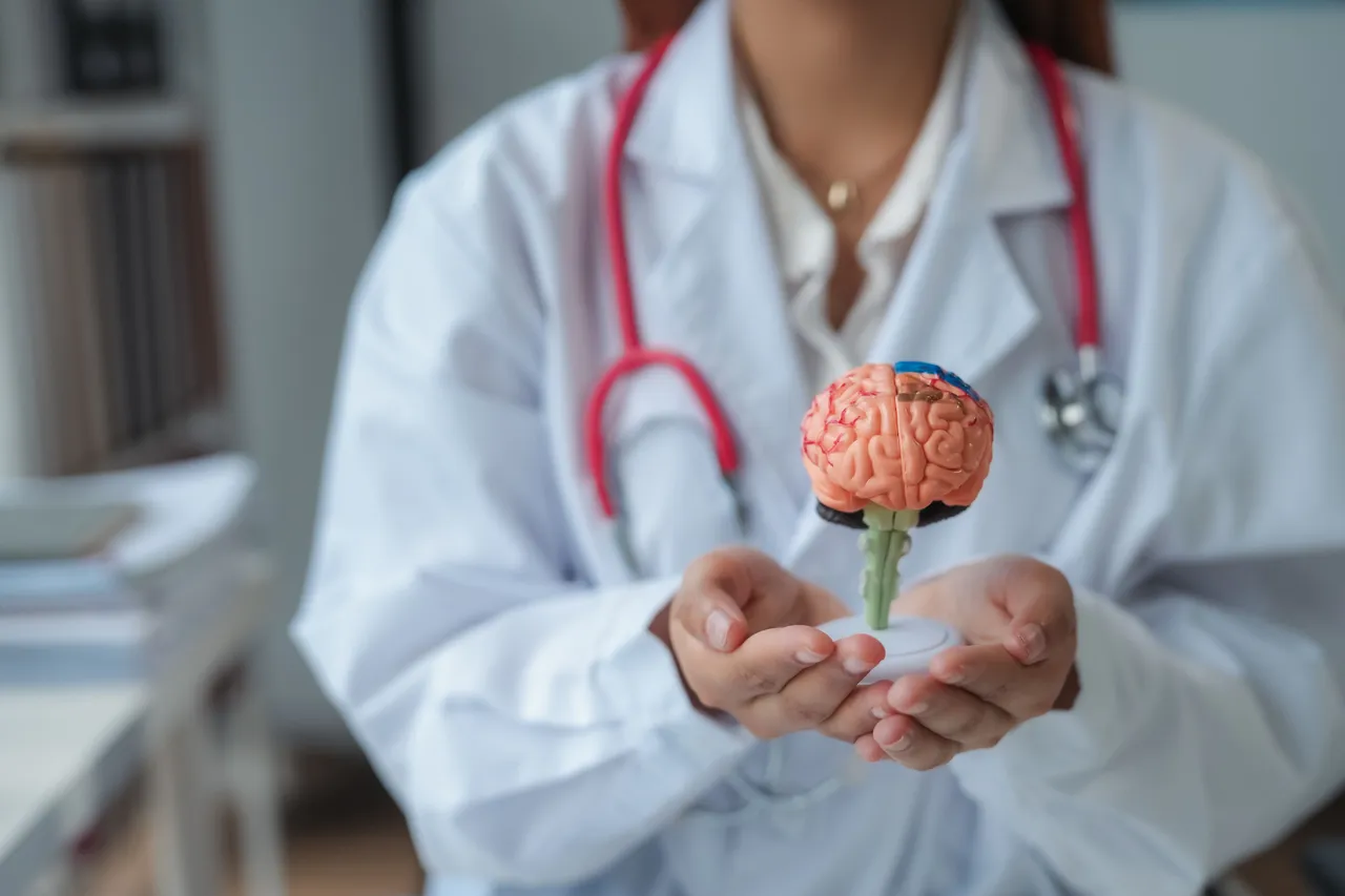 Brain