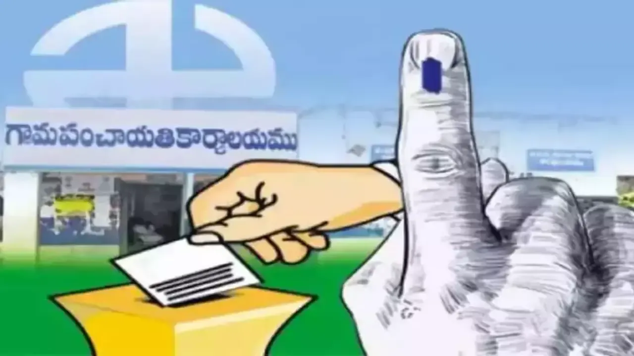 Local Body Elections