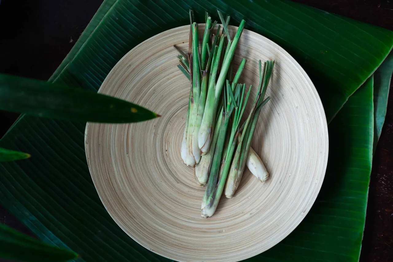 onion leaves