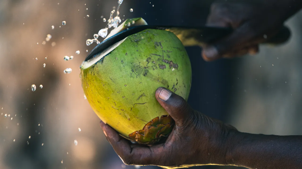 coconut