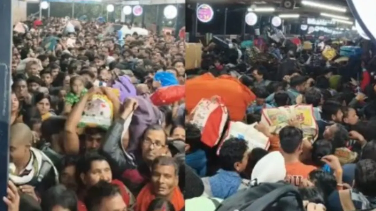 delhi