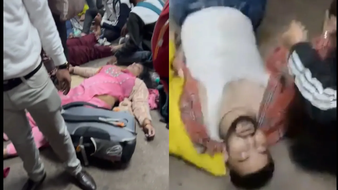 stampede incident 