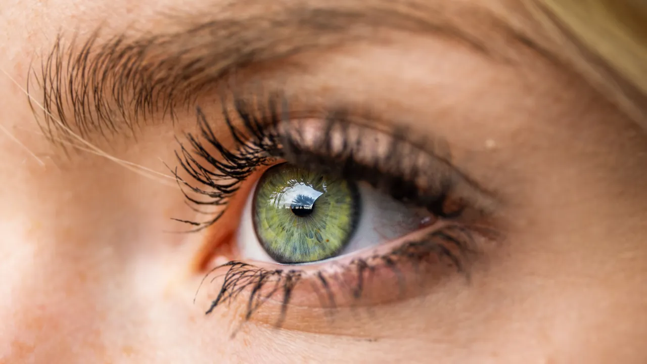 eye sight