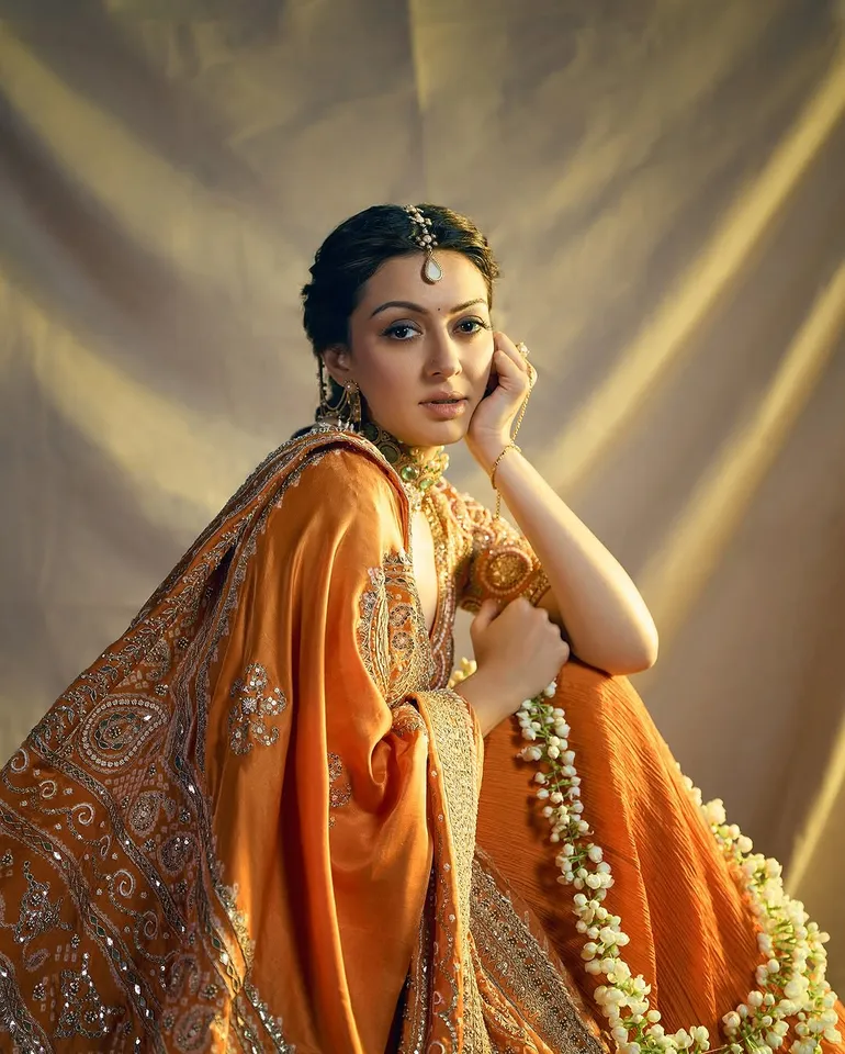 hansika desi looks