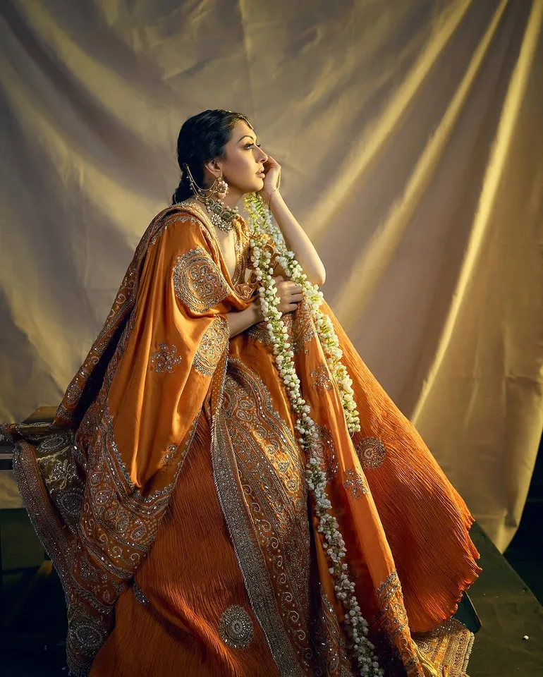 hansika stunning desi looks 