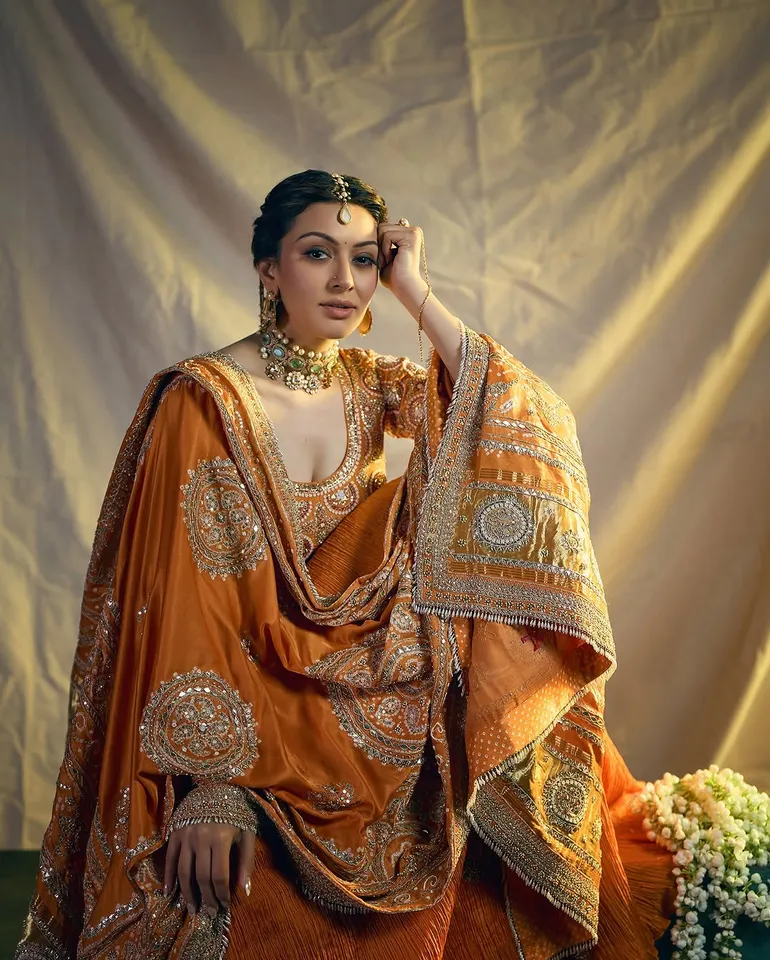 hansika stunning desi style 