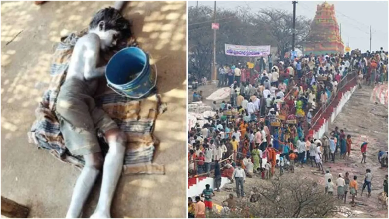 peddda gattu