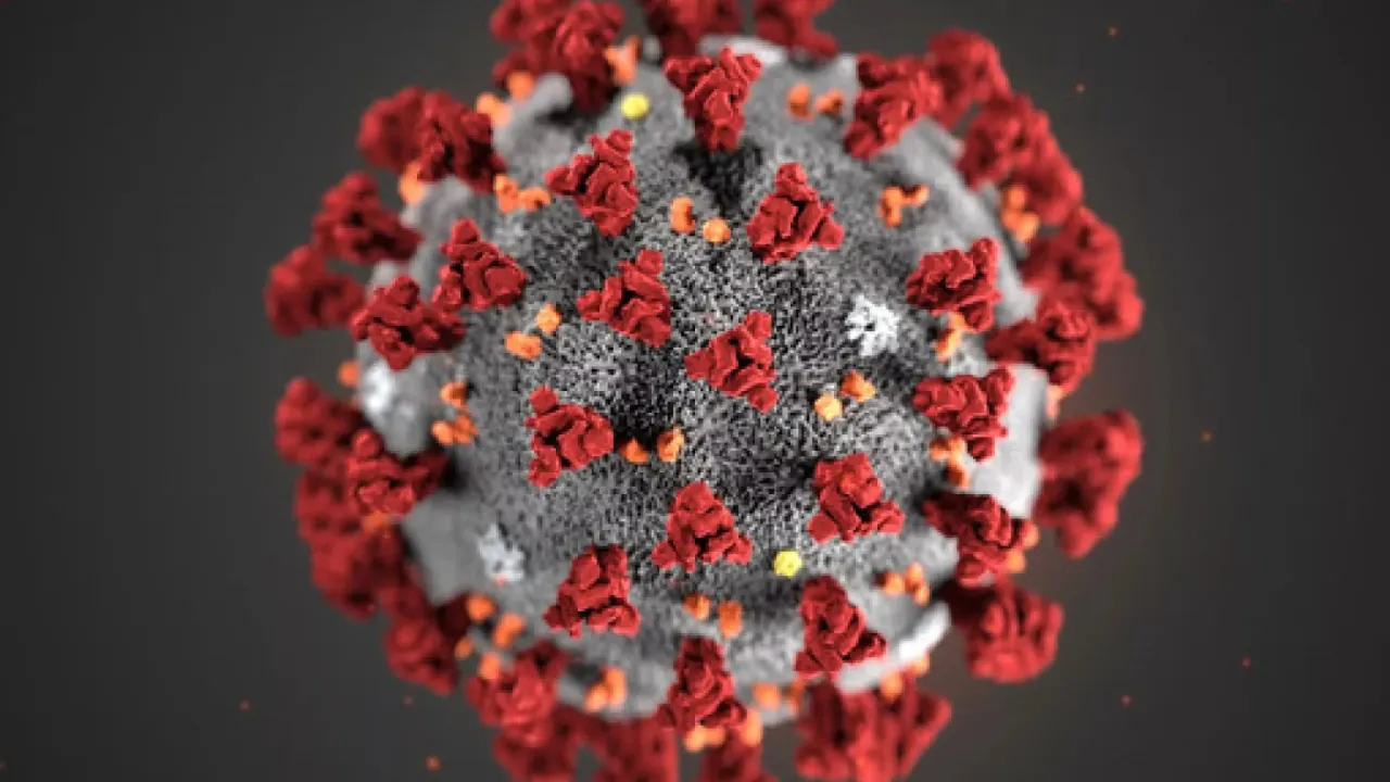 virus
