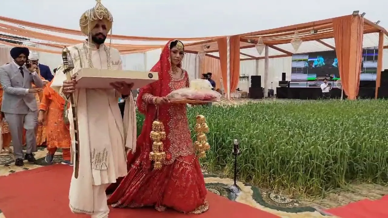 NRI Couple’s Unconventional Wedding In Punjab Fields