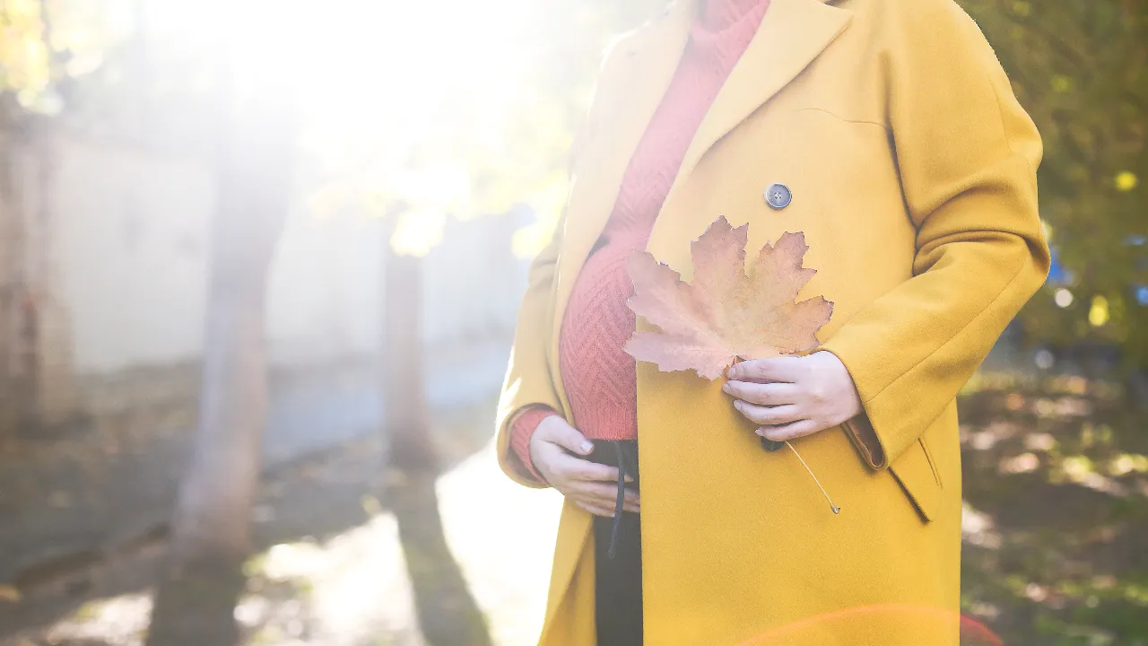 Maternity Leaves