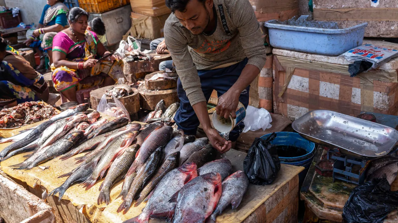 fish market