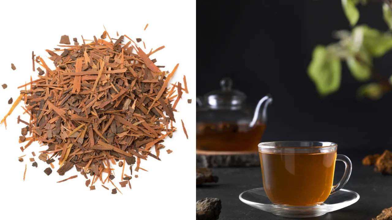 arjuna tree bark