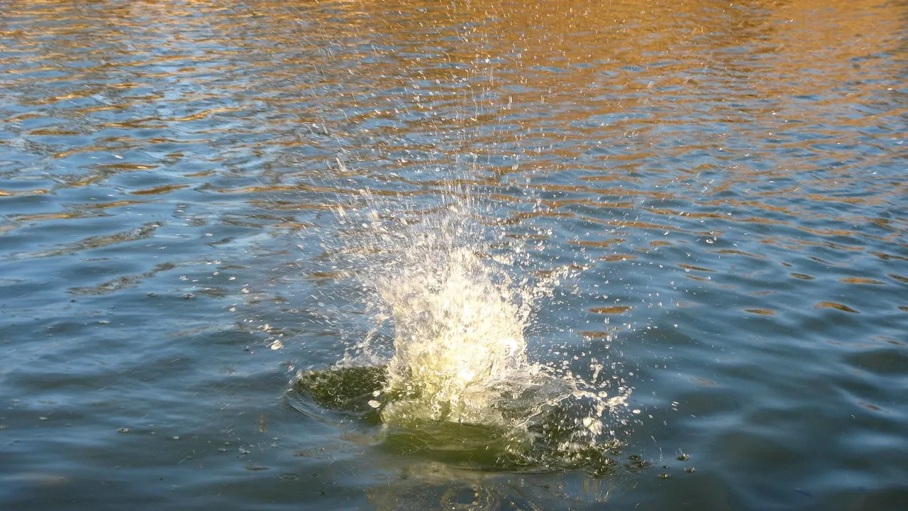 falling-in-water