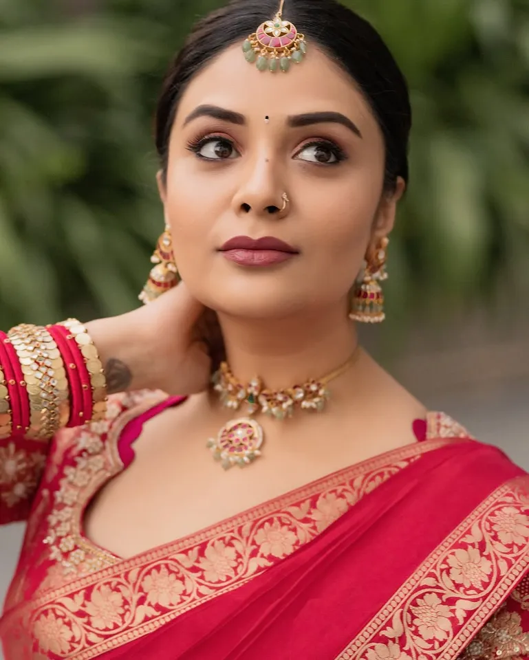 sreemukhi half saree stunning poses