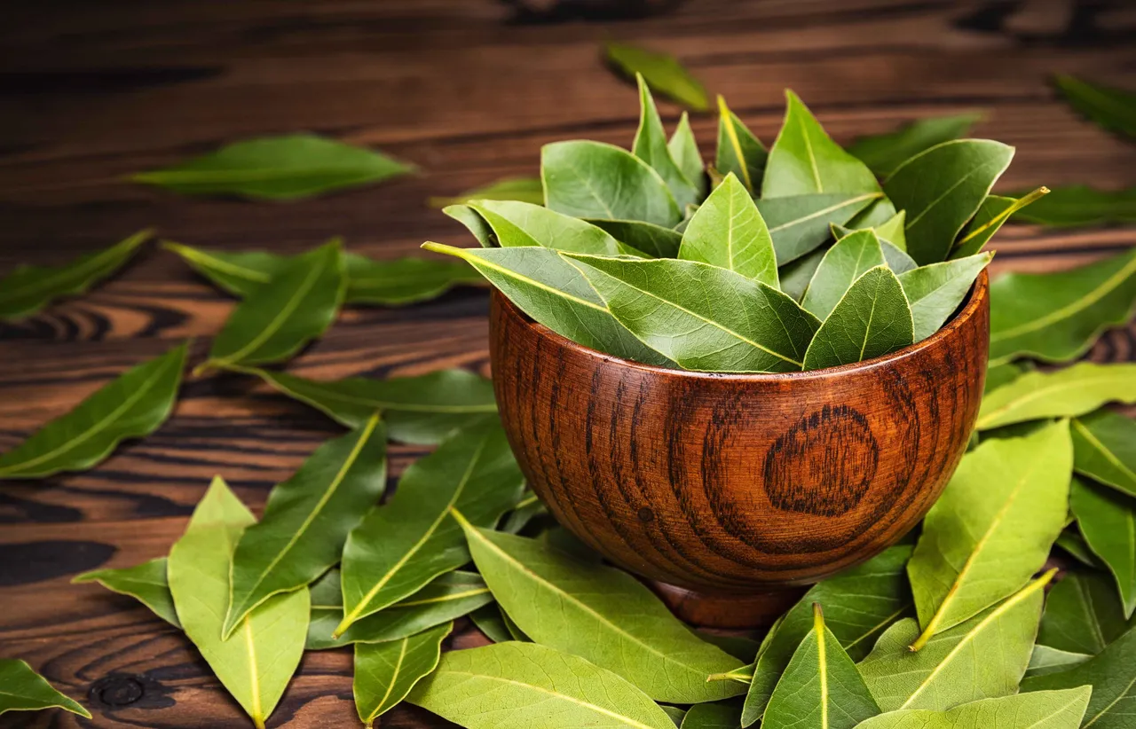 Curry Leaves