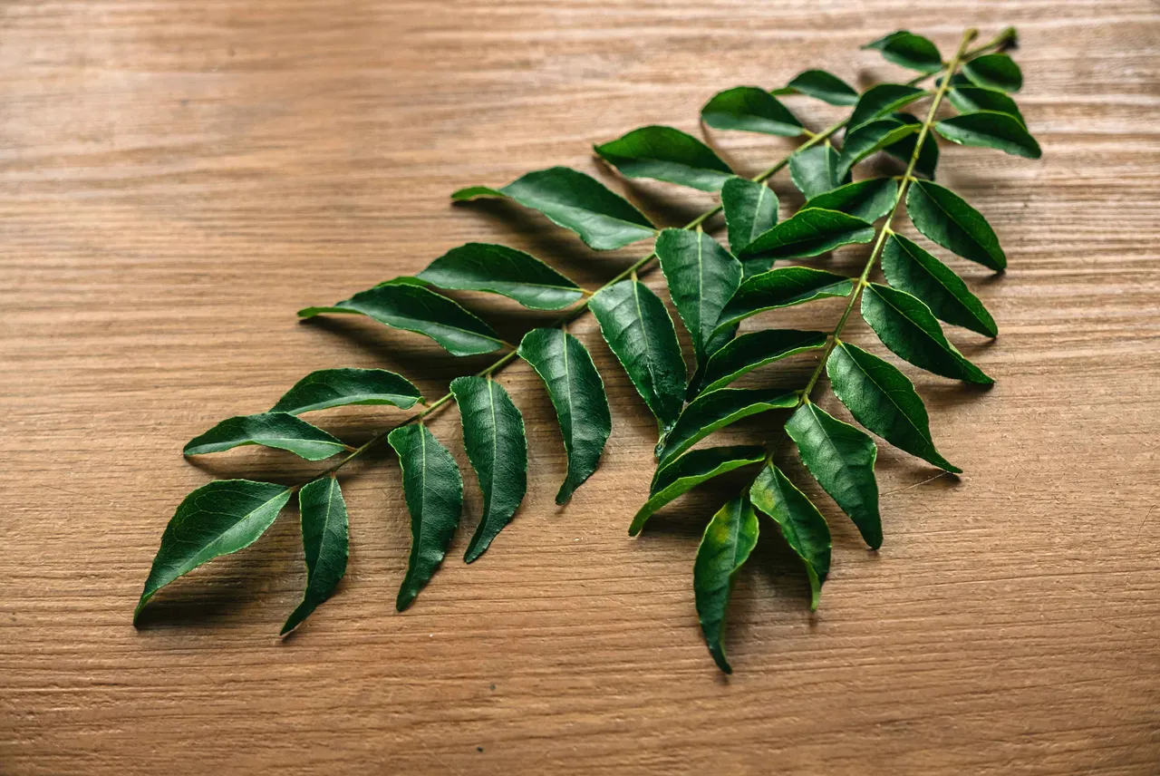 Curry Leaves