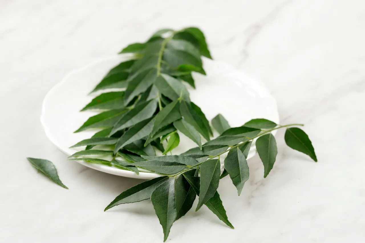 Curry Leaves