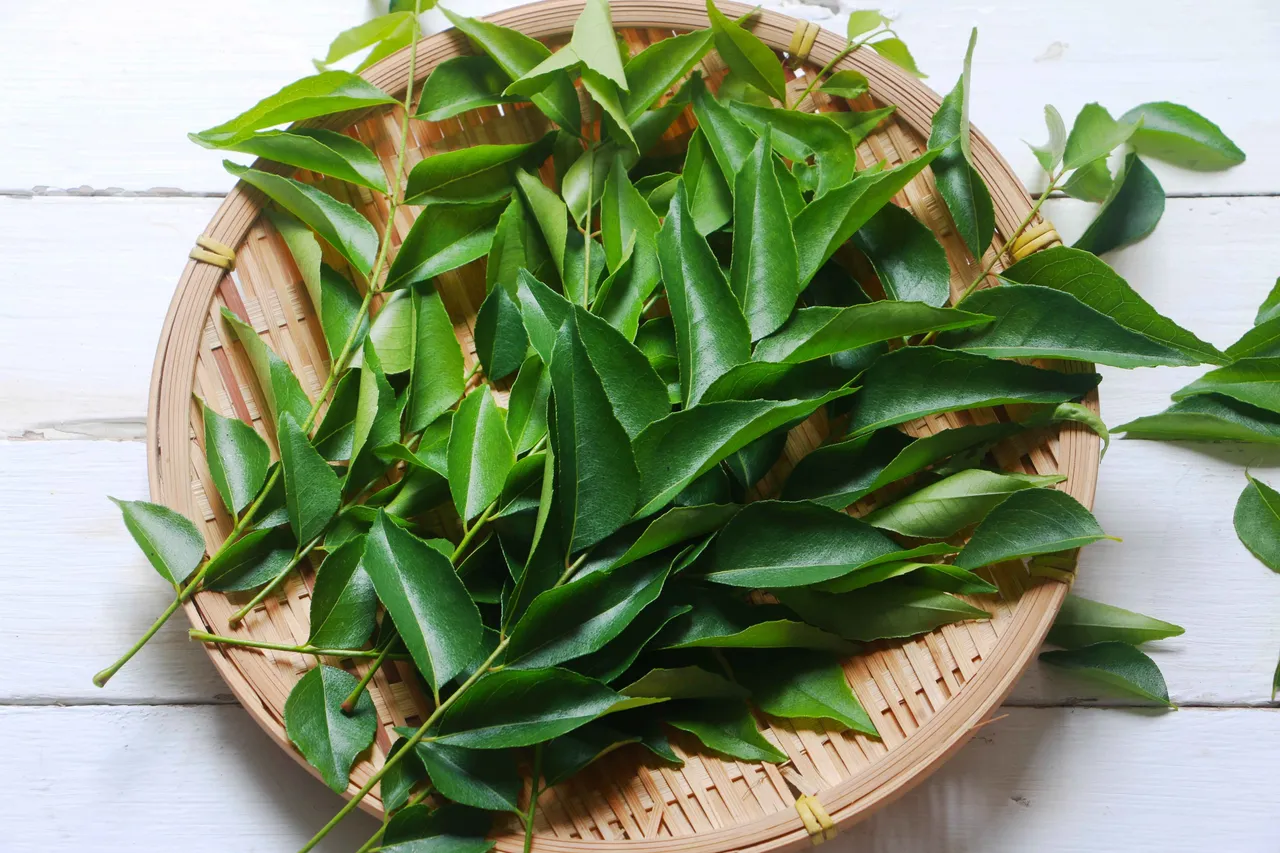 Curry Leaves