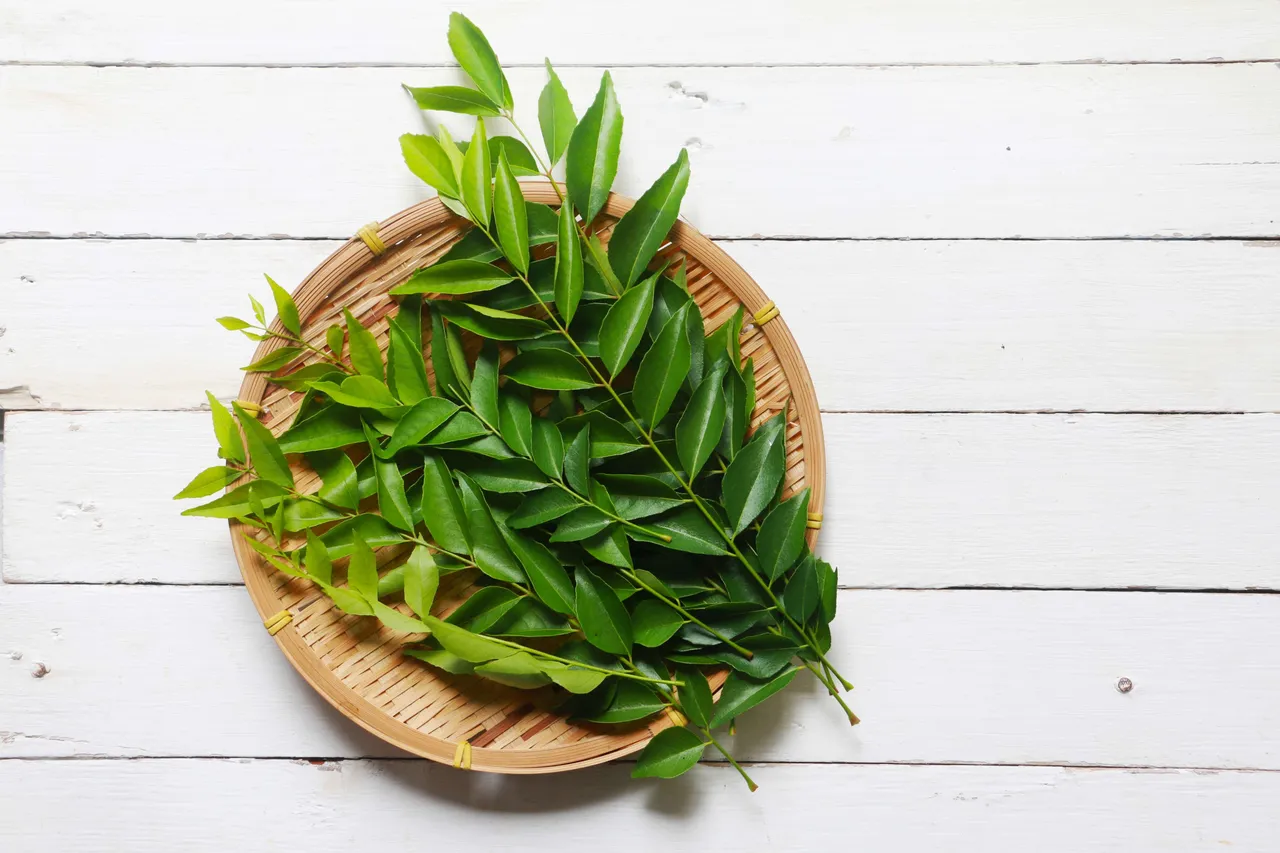 Curry Leaves