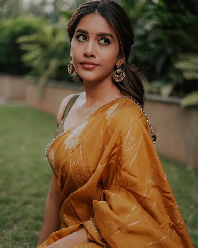 nabha natesh stuns in saree