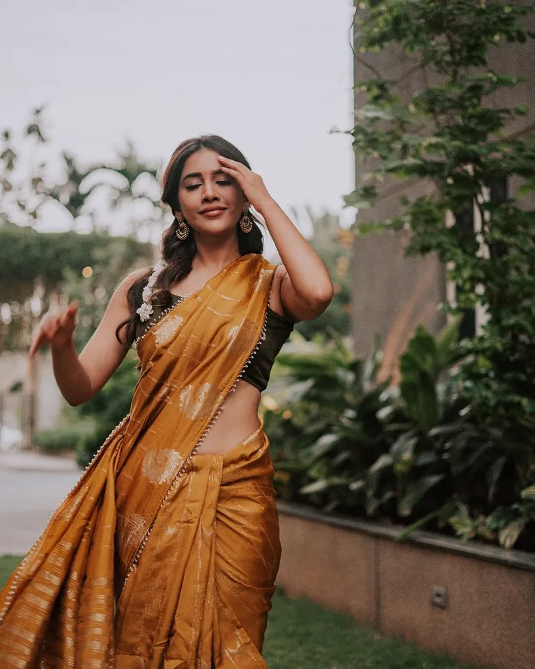 nabha stunning saree looks