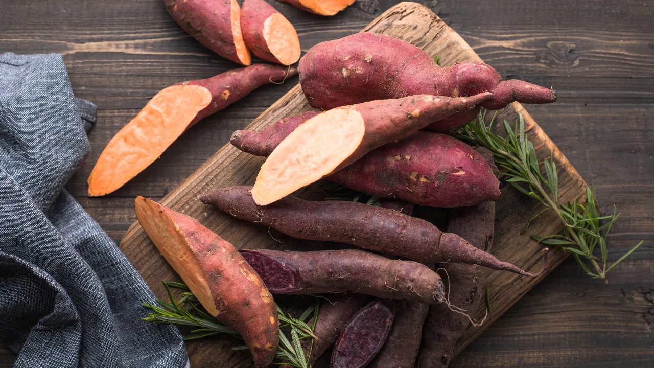 Sweet Potato