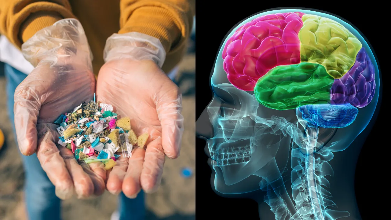 Microplastic 